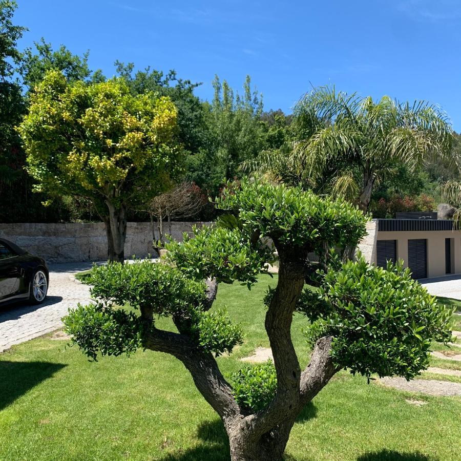 Quinta De Santa Ana, Em Vizela Apartamento Infias Exterior foto