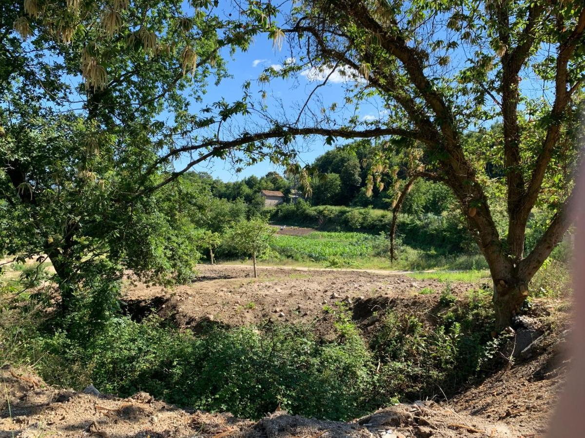 Quinta De Santa Ana, Em Vizela Apartamento Infias Exterior foto